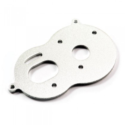 FTX Mighty Thunder/Kanyon Motor Plate (1pc)